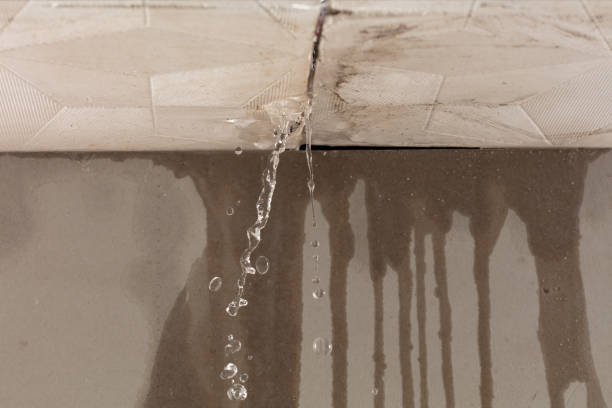 Professional Water Extraction technician working in Bussey, IA